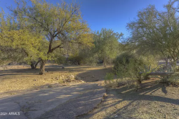 Cave Creek, AZ 85331,37637 N Sunset Trail #-