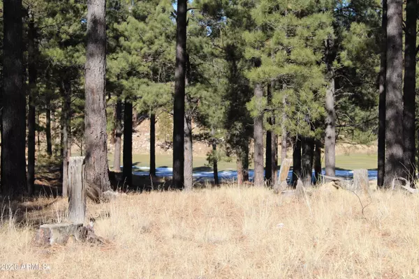 2460 E Del Rae Drive #204, Flagstaff, AZ 86005