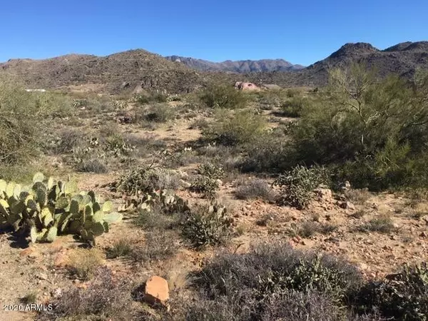 Congress, AZ 85332,24255 S Jakes Way Way #-