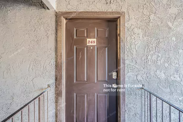 Mesa, AZ 85201,424 W BROWN Road #248