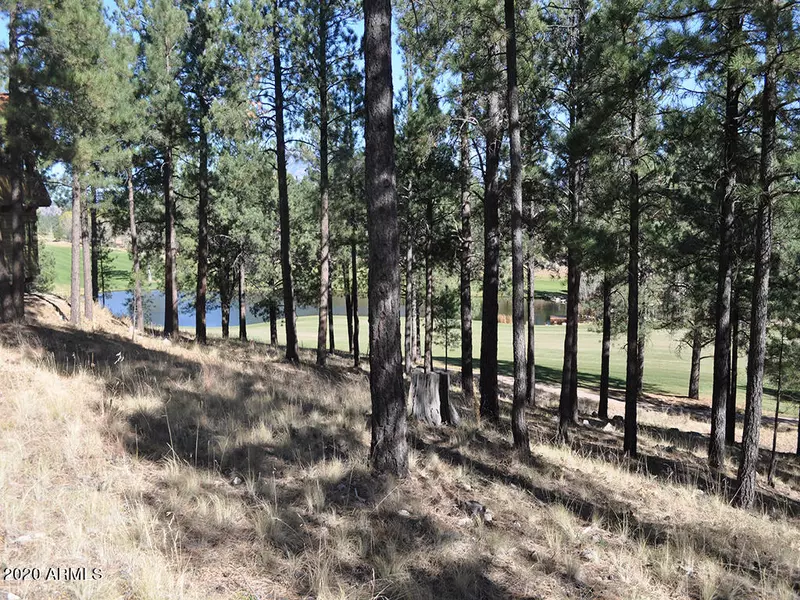 2015 E Barranca Drive #80, Flagstaff, AZ 86005