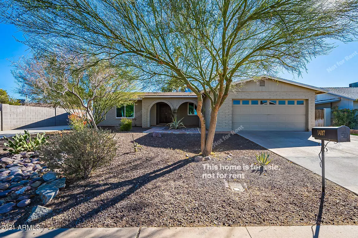 Chandler, AZ 85224,1407 W EL ALBA Way