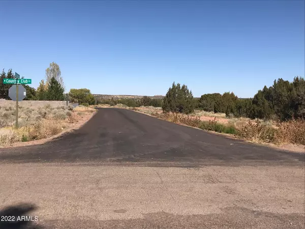 Snowflake, AZ 85937,9 country club Drive #9