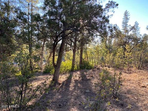 Pine, AZ 85544,71 Forest Trail -- #71