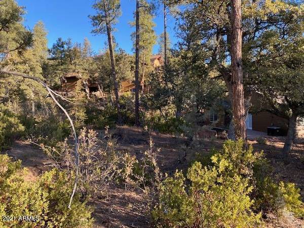 Pine, AZ 85544,71 Forest Trail -- #71