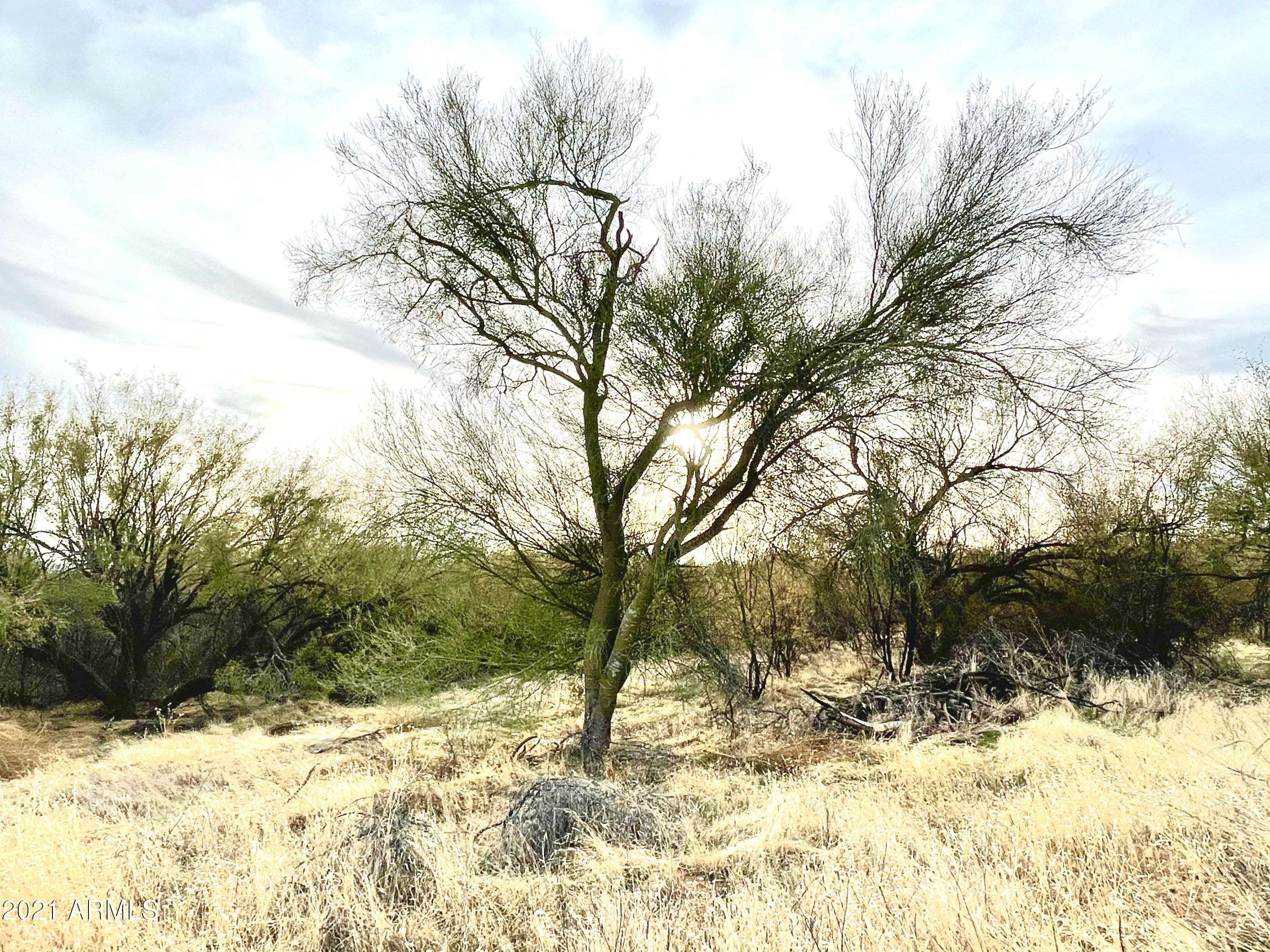 Surprise, AZ 85387,0 N 219th Avenue #-