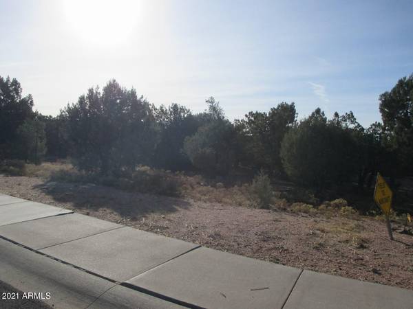 Payson, AZ 85541,1204 N Earhart Parkway #84