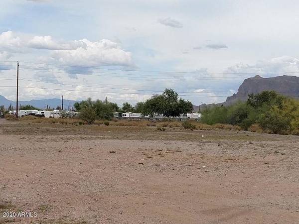 Apache Junction, AZ 85119,445 E OLD WEST Highway #1