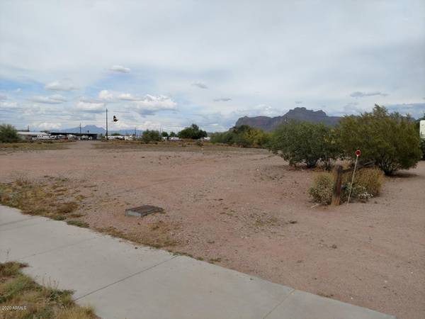 Apache Junction, AZ 85119,445 E OLD WEST Highway #1