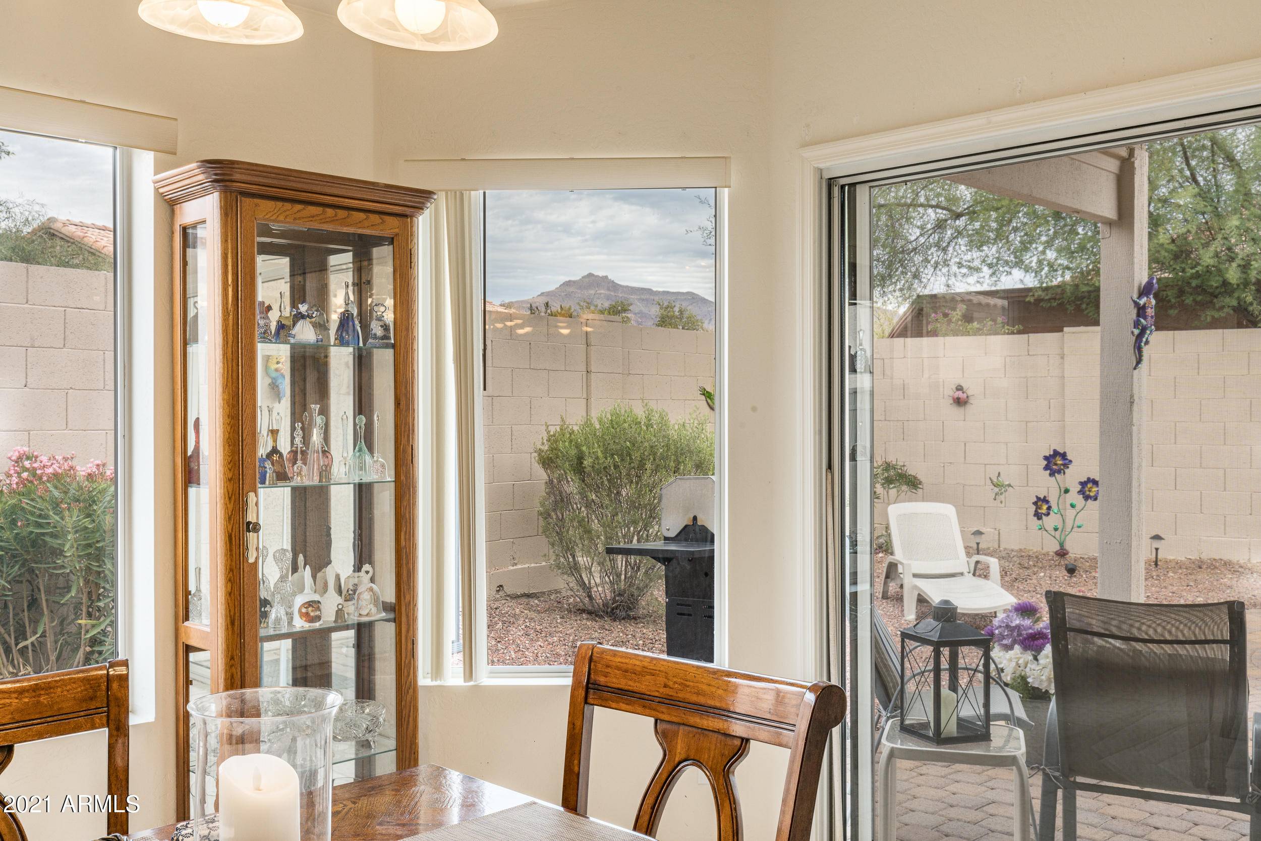 Gold Canyon, AZ 85118,9236 E CEDAR BASIN Lane