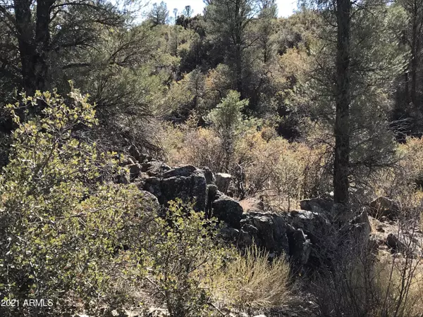 Peeples Valley, AZ 86332,18204 W Buckhorn Drive #-