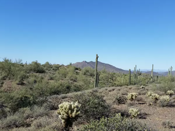 Carefree, AZ 85377,8555 N Father Kino Trail #-