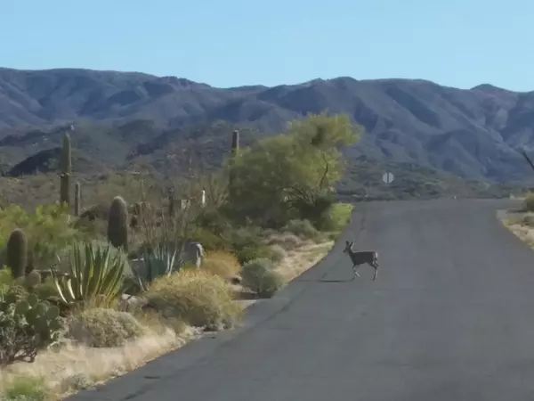 Carefree, AZ 85377,8555 N Father Kino Trail #-