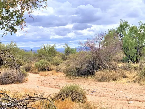 Rio Verde, AZ 85263,17100 E Lone Mountain Road #-