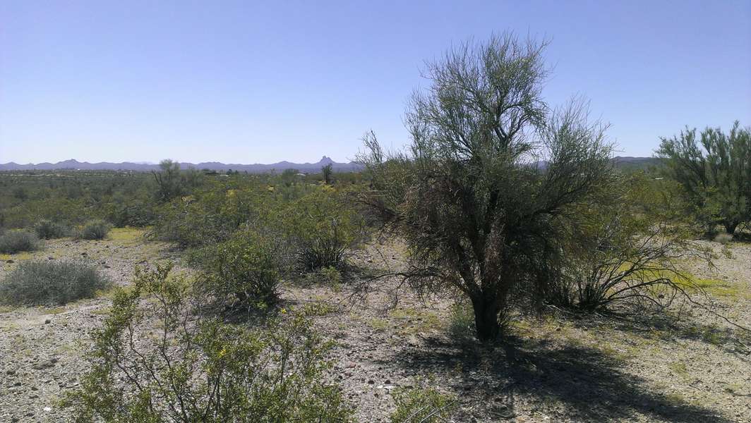 34735 S Nine Irons Road #-, Wickenburg, AZ 85390