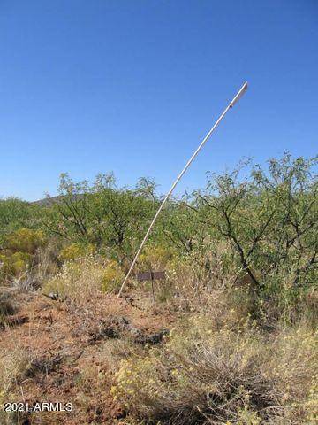 Elfrida, AZ 85610,36 AC High Lonesome Road #-