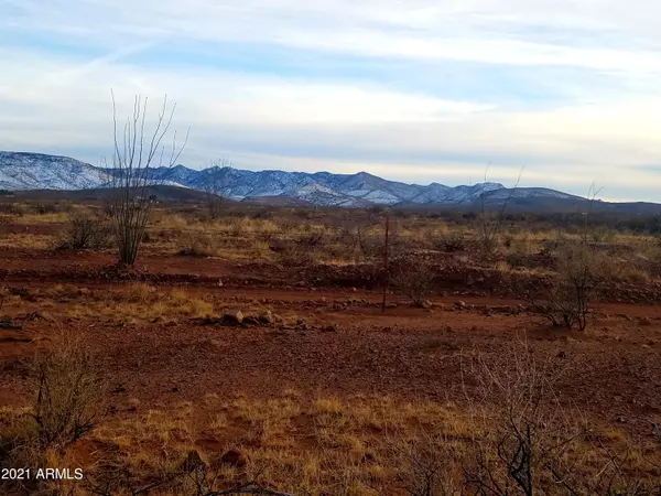 Tombstone, AZ 85638,16 E Windmill Road #16