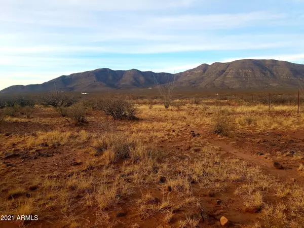 Tombstone, AZ 85638,16 E Windmill Road #16