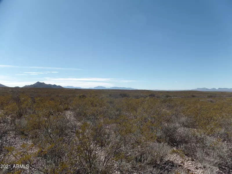 201 Acres Cholla Trail #-, Tombstone, AZ 85638