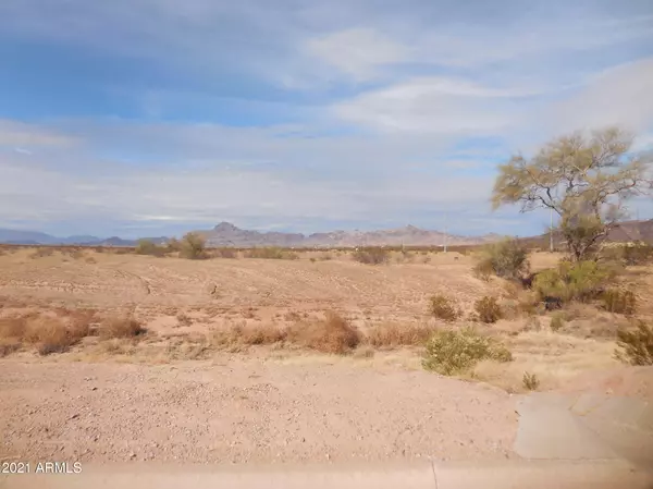 Tonopah, AZ 85354,W Parcel 506-18-024-B Road #-