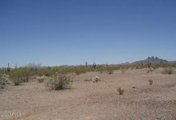 Wittmann, AZ 85361,29447 W Dixileta Drive #-
