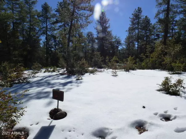 Pine, AZ 85544,48 W Forest Trail #48