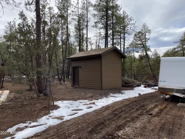 Pinetop, AZ 85935,1144 W Manzanita Trail #-