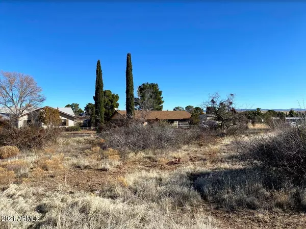 Mayer, AZ 86333,20291 E PRICKLY PEAR Drive #3271