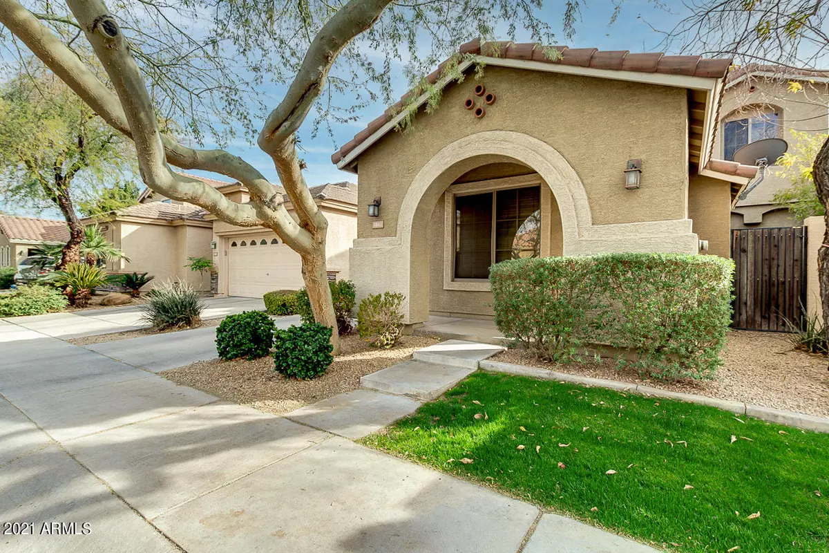 Chandler, AZ 85224,1861 W ORCHID Lane