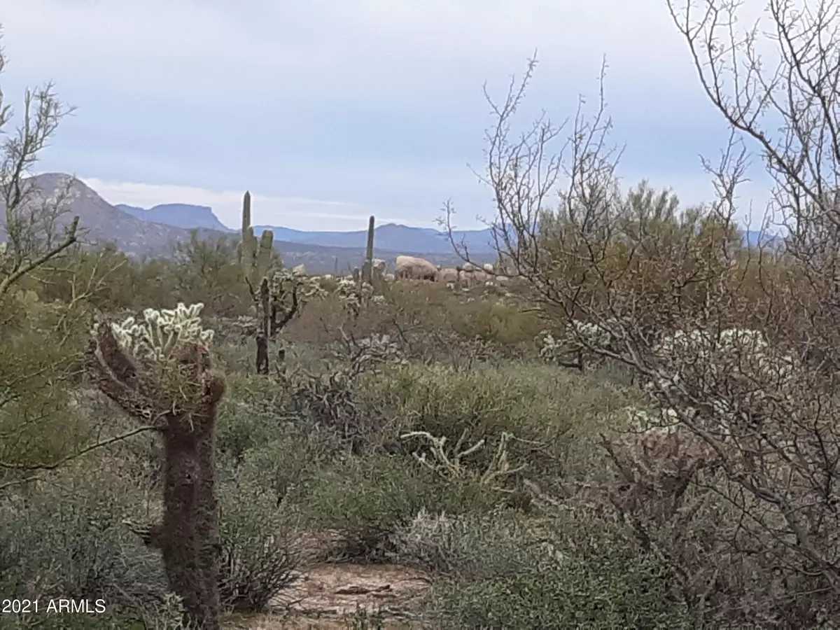 Florence, AZ 85132,15 W Cochran Road #Lot 2