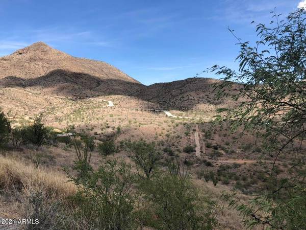 Rio Rico, AZ 85648,432 CAMINO CANOA -- #1