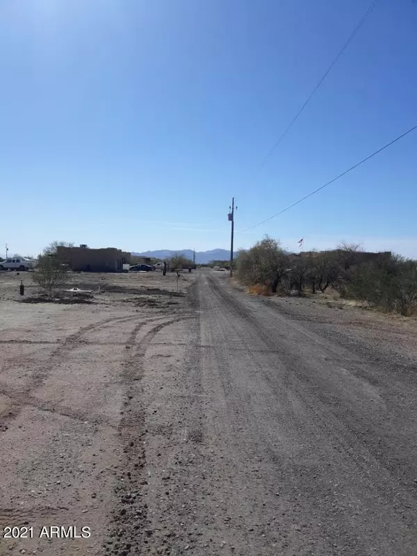 Wittmann, AZ 85361,324 N 224th Drive #50339005U