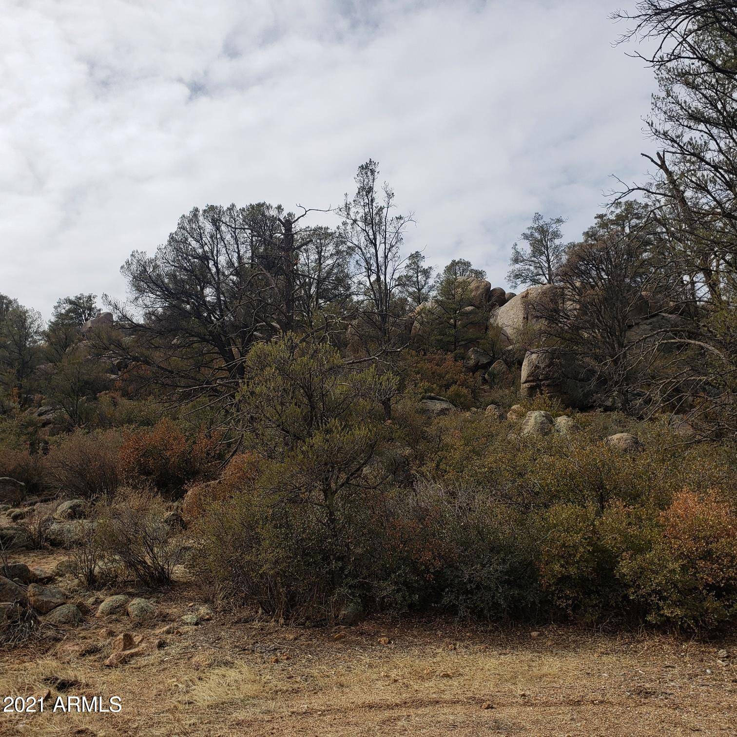 Peeples Valley, AZ 86332,100 W Ruger Ranch Phase 3 Road #100