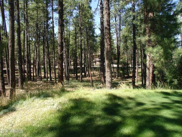 Flagstaff, AZ 86005,3764 Griffiths Spring -- #450