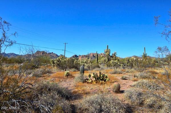 Apache Junction, AZ 85119,0 N WOLVERINE PASS Road #-