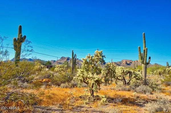 0 N WOLVERINE PASS Road #-, Apache Junction, AZ 85119