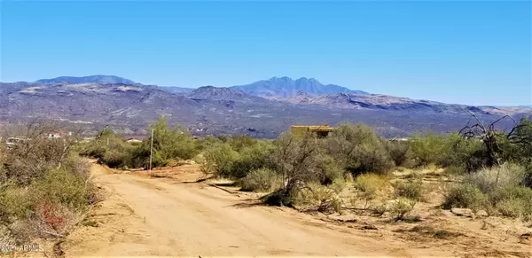 Rio Verde, AZ 85263,17132 E LAS PIEDRAS Way