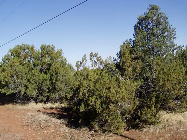 Concho, AZ 85924,102 N RANCH Road #102