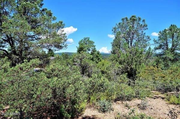 115 S Crescent Moon -- #303, Payson, AZ 85541