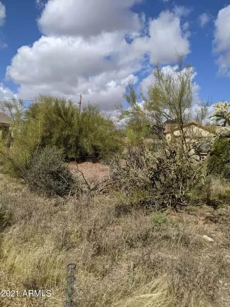 6130 S HIDDEN HILL Road #231, Gold Canyon, AZ 85118