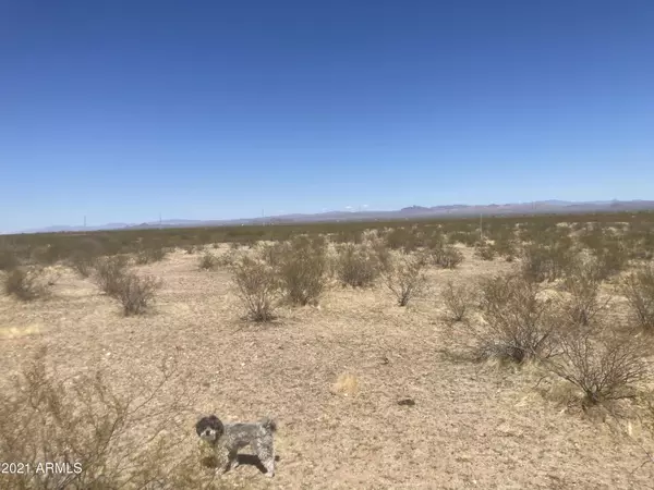 Wittmann, AZ 85361,0 Montgomery Road #-