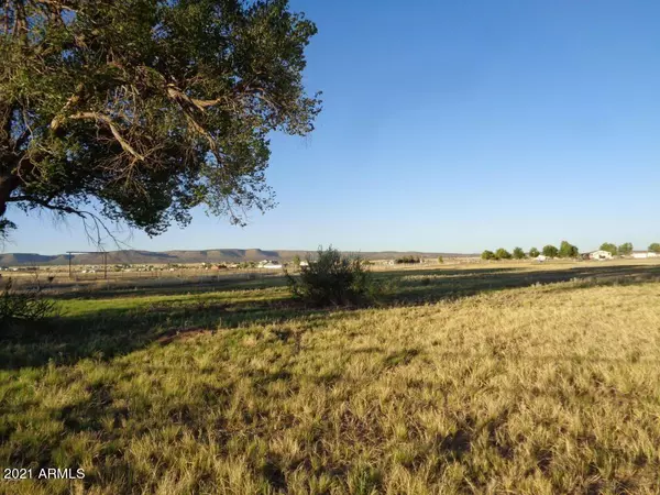 Paulden, AZ 86334,25899 N CHAMPAGNE Lane #20