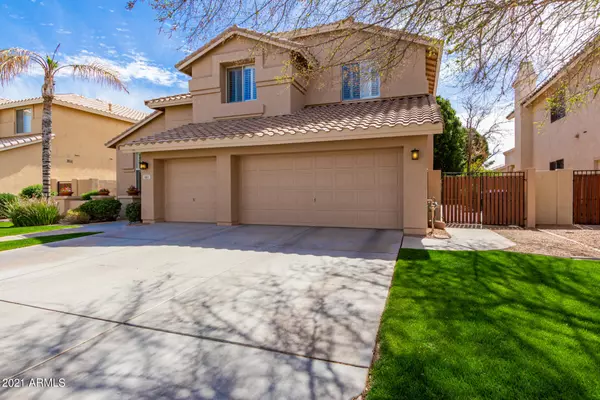 Chandler, AZ 85248,883 W ASTER Drive