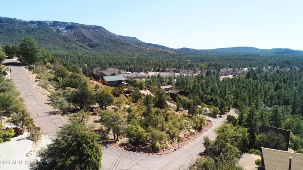 Pine, AZ 85544,233 S Canyon Vista #233