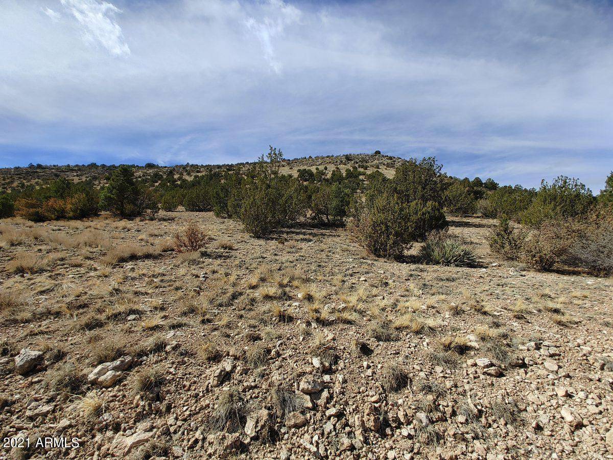 Seligman, AZ 86337,54870 N PAINTBRUSH Lane #798