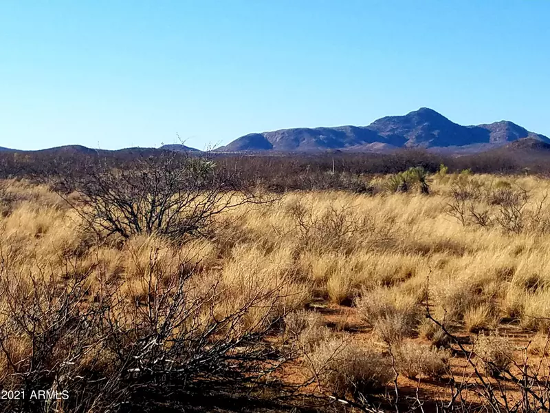 6768 N High Lonesome Road #67, Elfrida, AZ 85610
