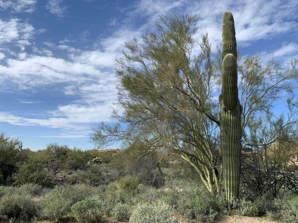 Scottsdale, AZ 85266,7498 E WHISPER ROCK Trail #13