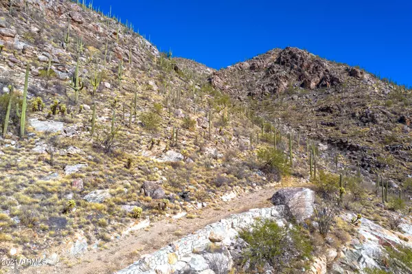Tucson, AZ 85739,13 E Playa De Coronado -- #13 lots