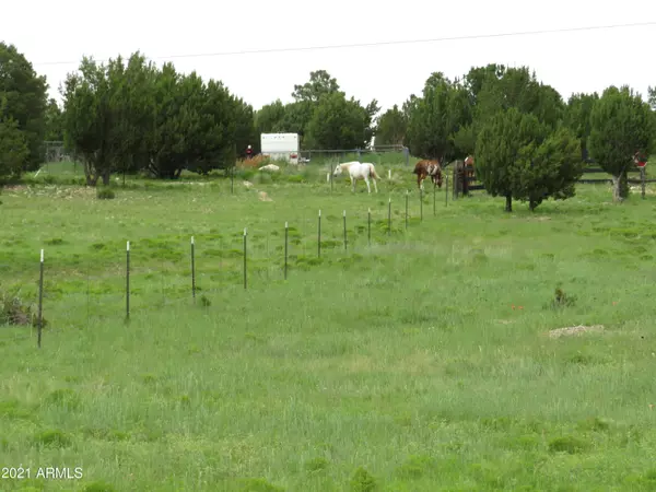 Clay Springs, AZ 85923,2514 CHEROKEE Lane #-