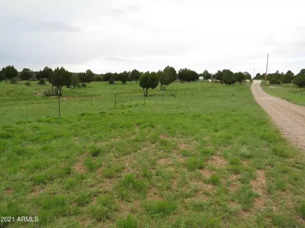 Clay Springs, AZ 85923,2514 CHEROKEE Lane #-